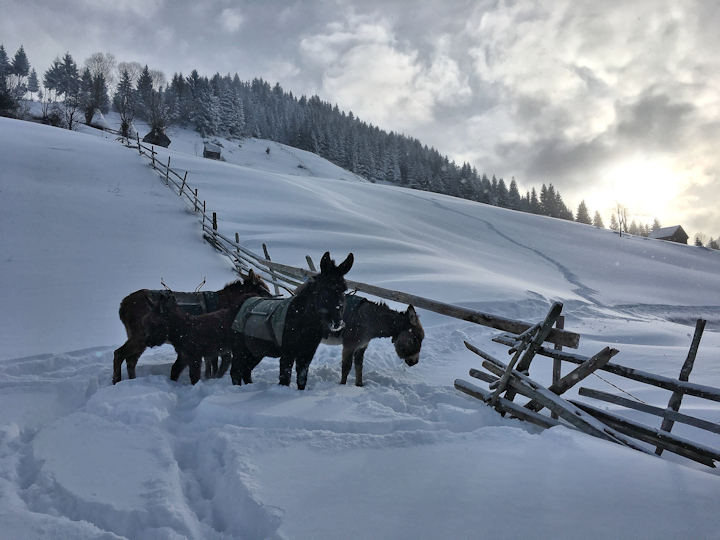 bucegi-trip-9