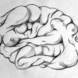 Kucky Brain