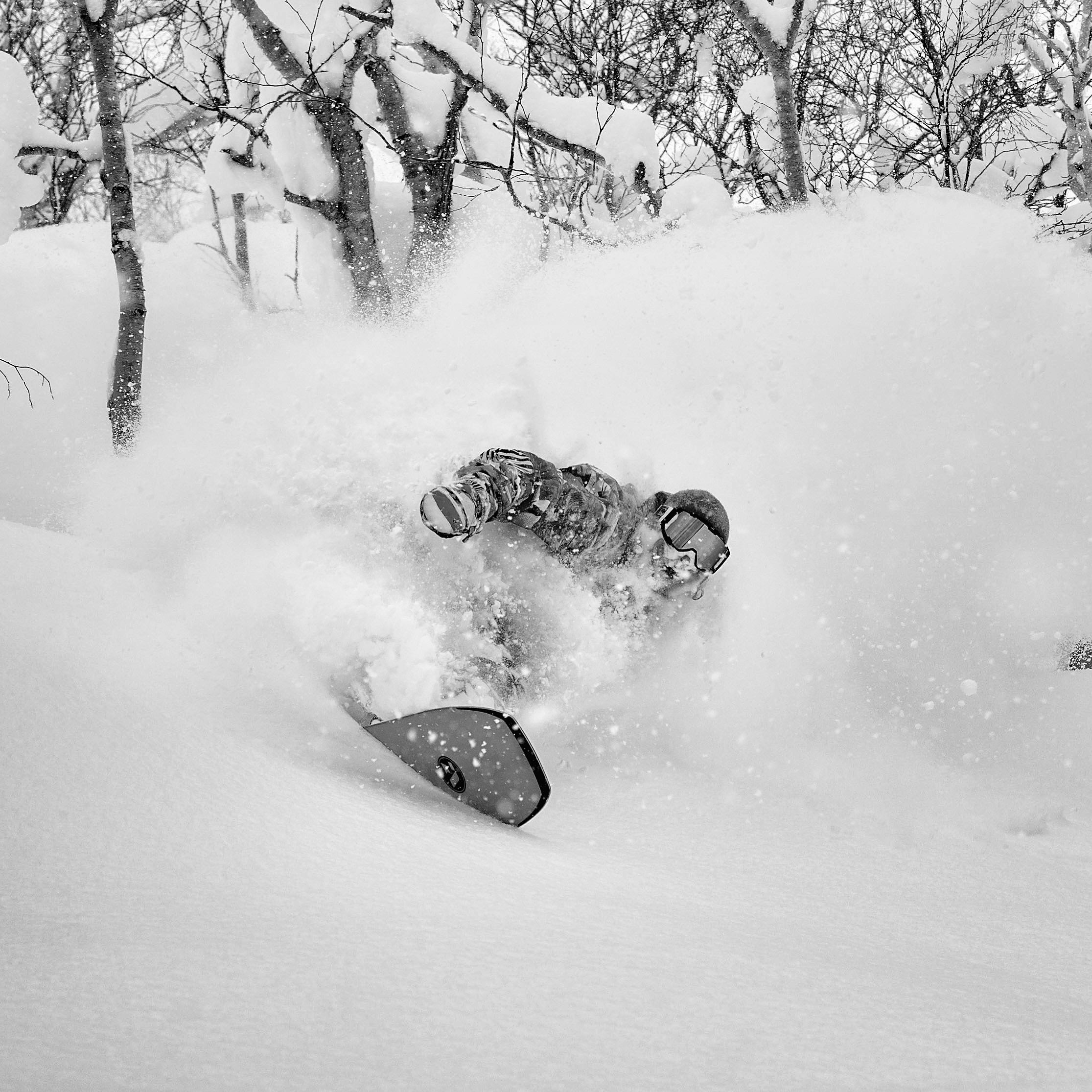 BACKCOUNTRY / BELOW TREE LINE - Surfing virgin pow in the woods is what I'm living for.